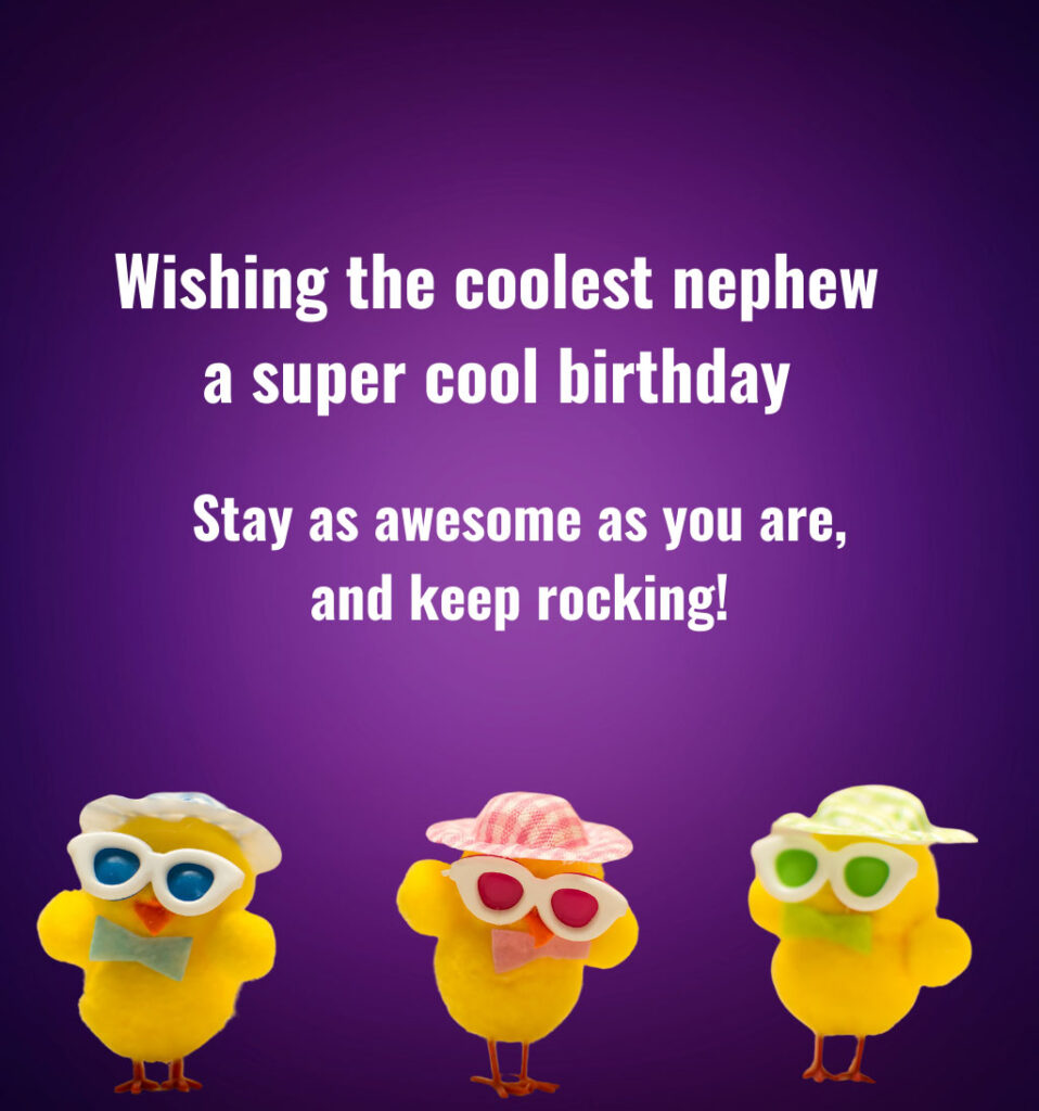 Funny Birthday Quotes for Nephew