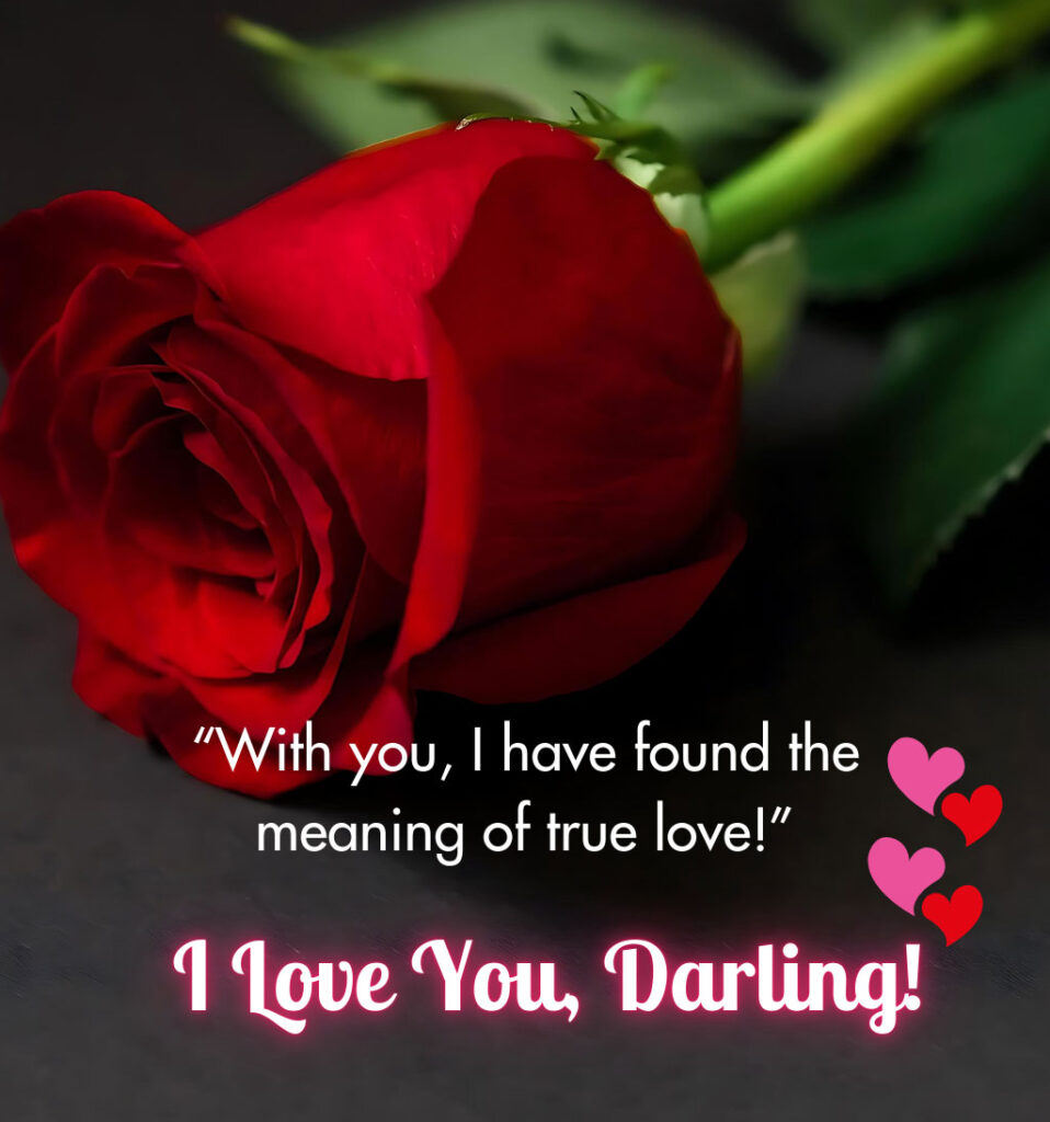 I love you darling with rose