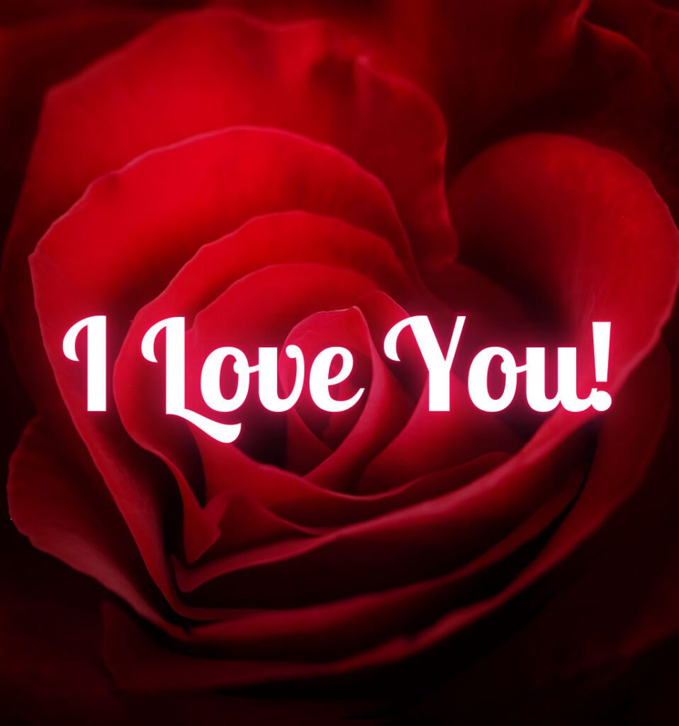 I love you Images With Rose