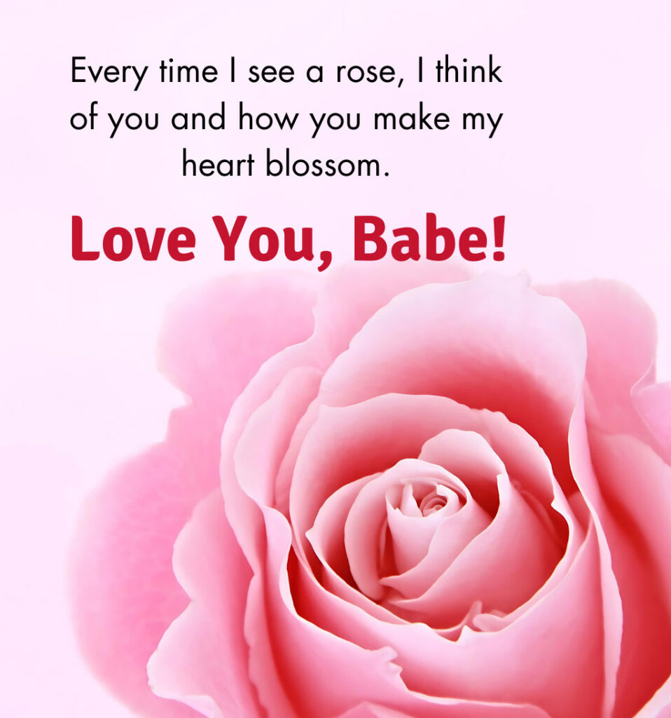 I love you darling images with rose 