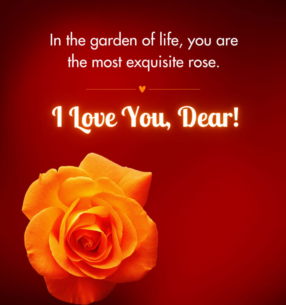 I love you dear with rose flower 