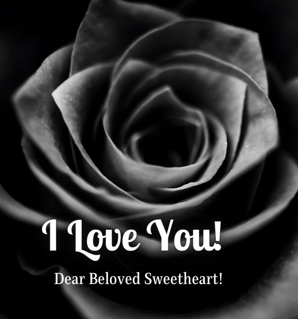 I love sweetheart Darling with Black Rose