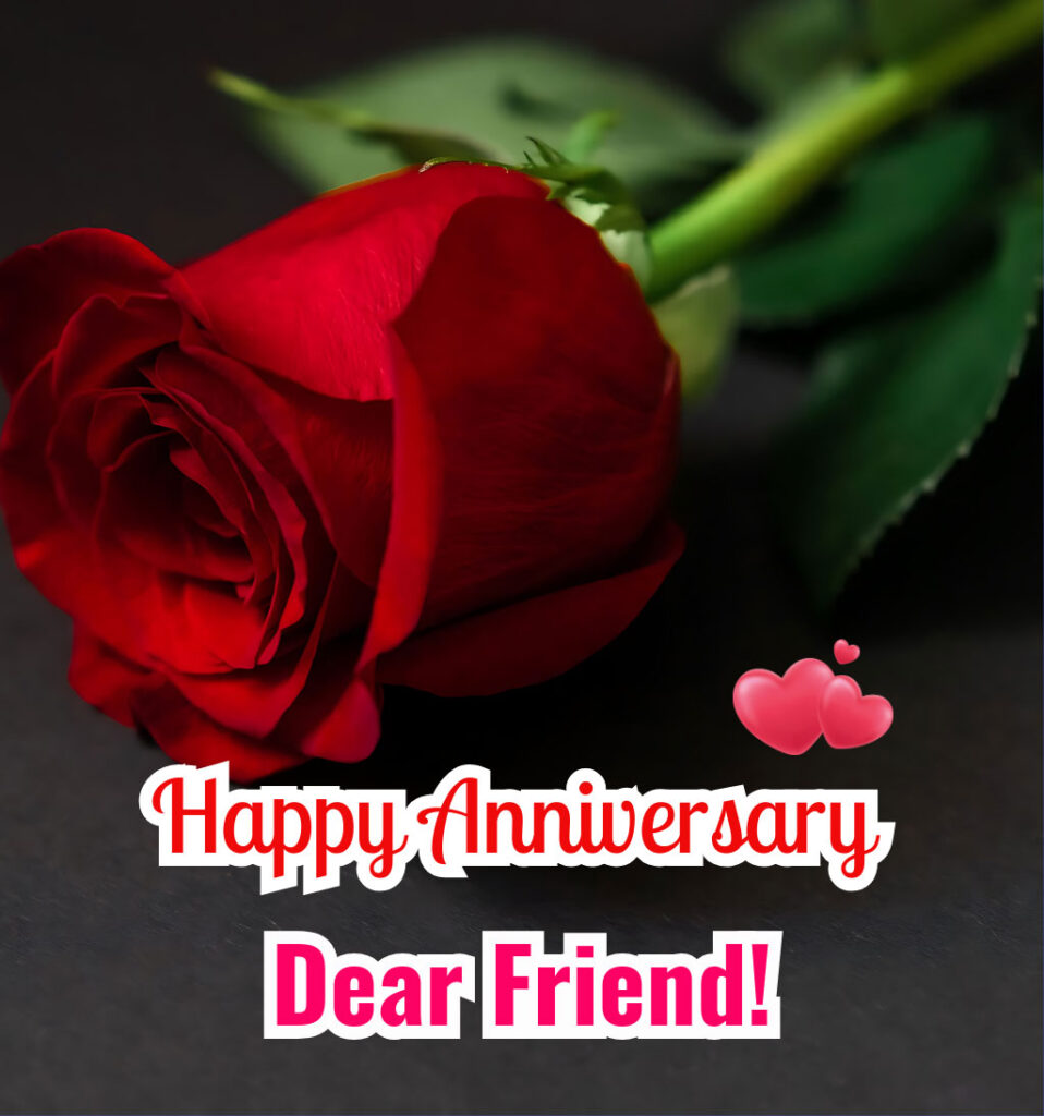 Wedding Anniversary for Friends with roses