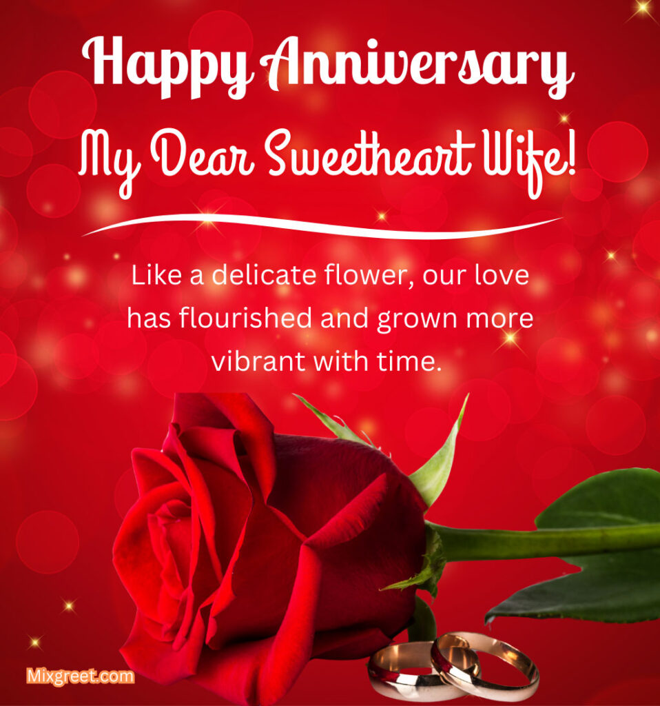 Happy Wedding Anniversary Quotes for Wife with Rose Flowers