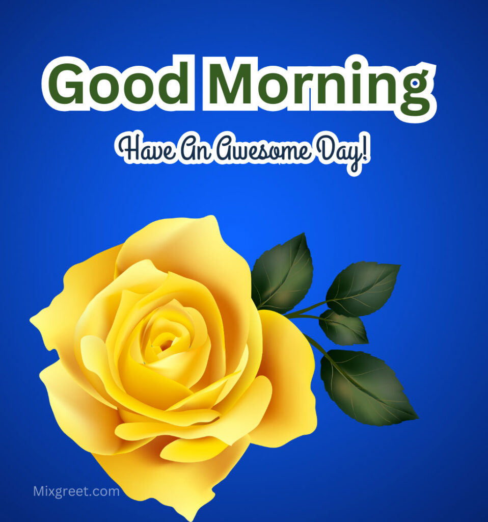 Good Morning Rose Flower Wishes