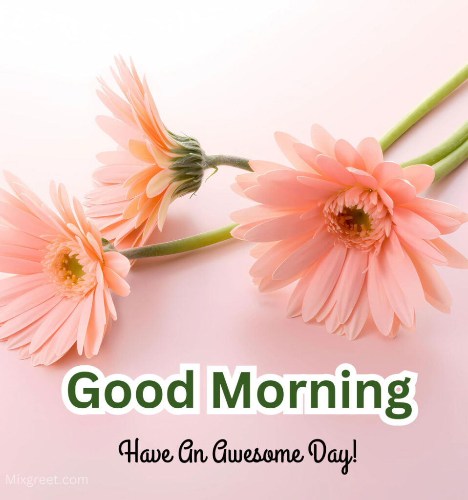 Good Morning Flower Images