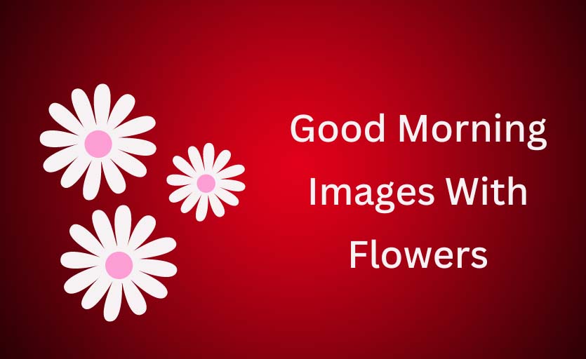 Beautiful Good Morning Flower Images