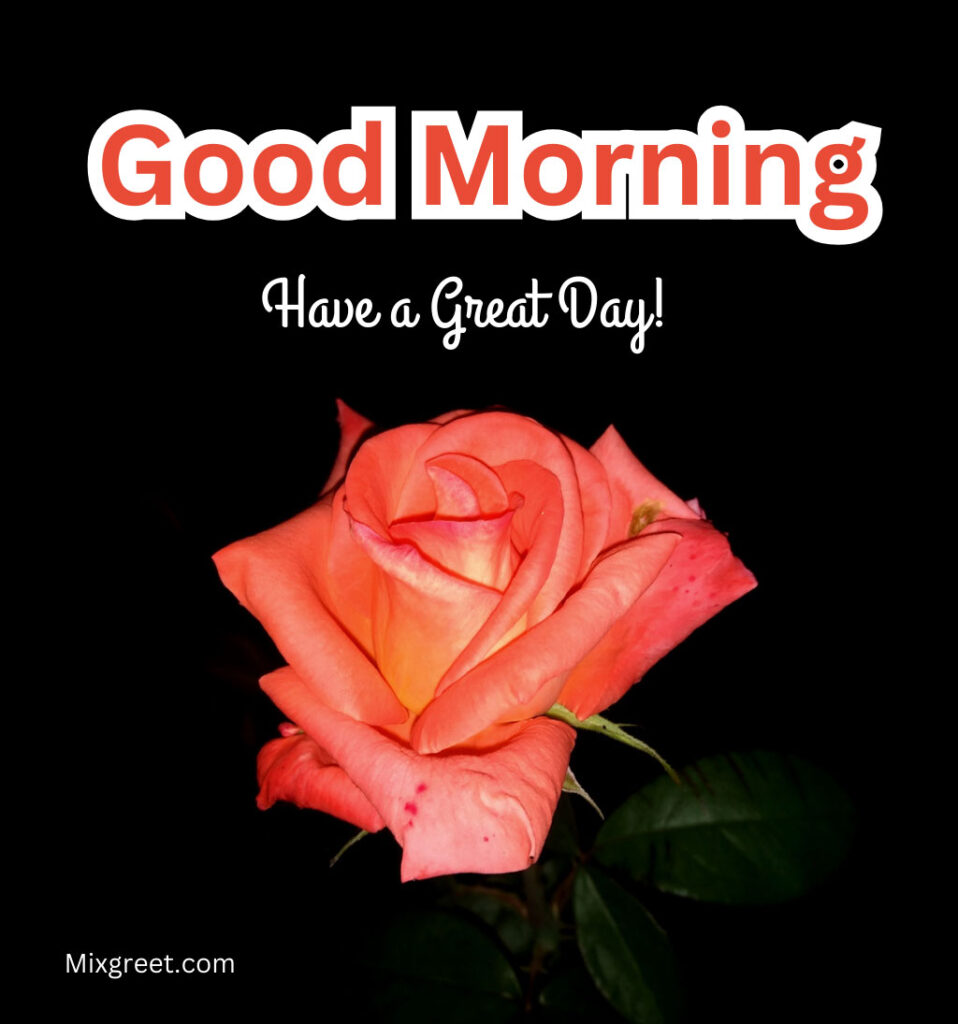 Good Morning Rose Flower Wishes