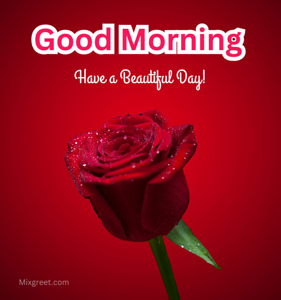 Good Morning Rose Flower Wishes