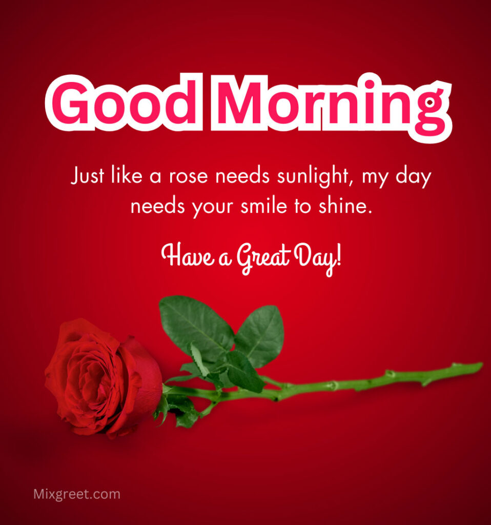 Good Morning Rose Flower Wishes