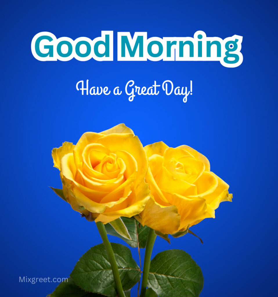 Good Morning With Yellow Rose