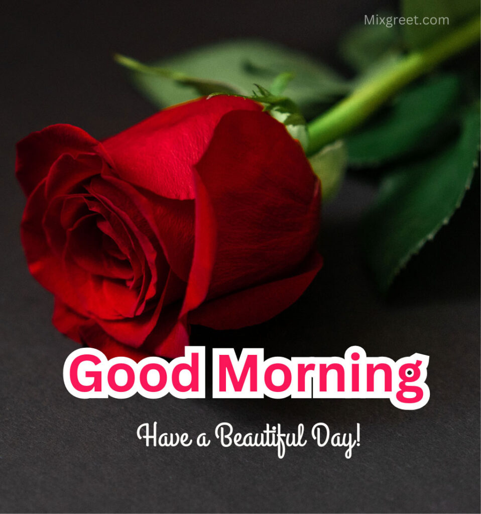 Good Morning Rose Flower Wishes