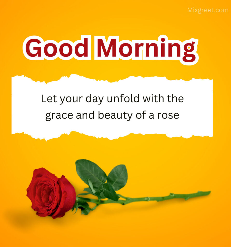 Good Morning Rose Flower Wishes