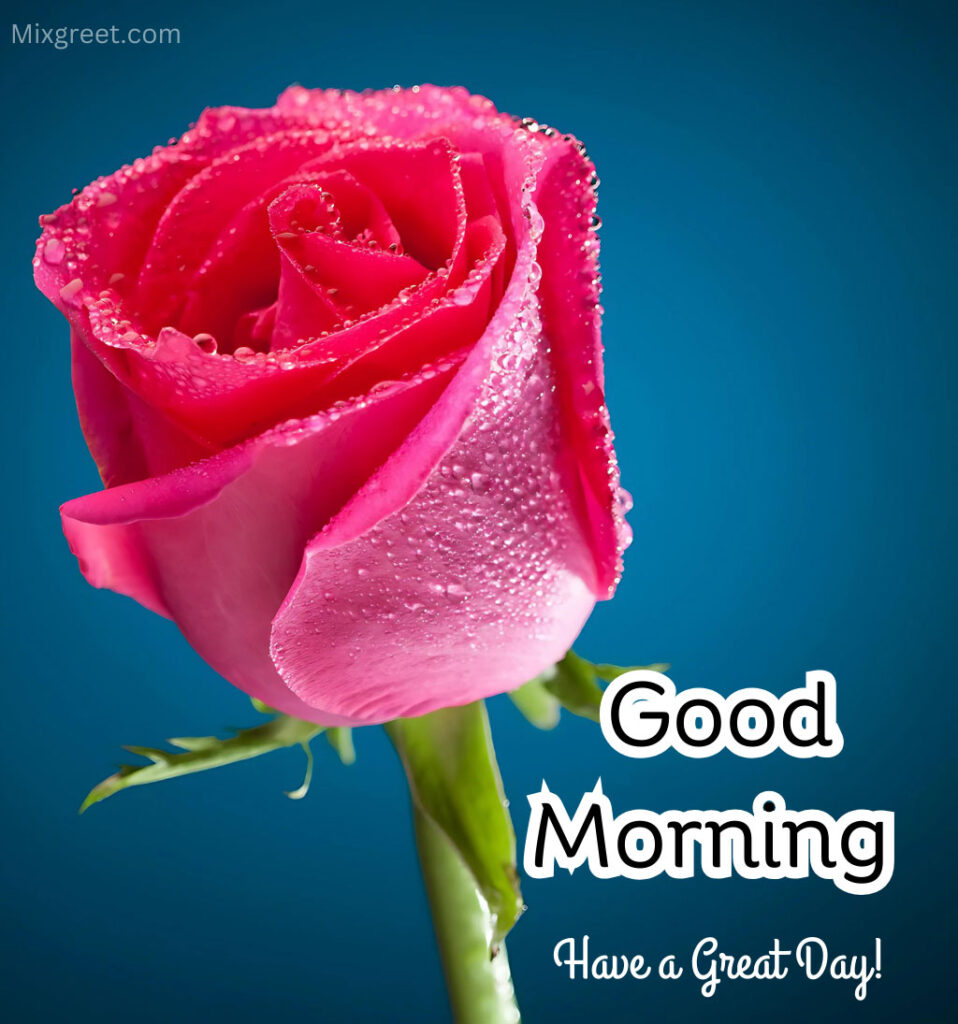 Good Morning Rose Flower Wishes