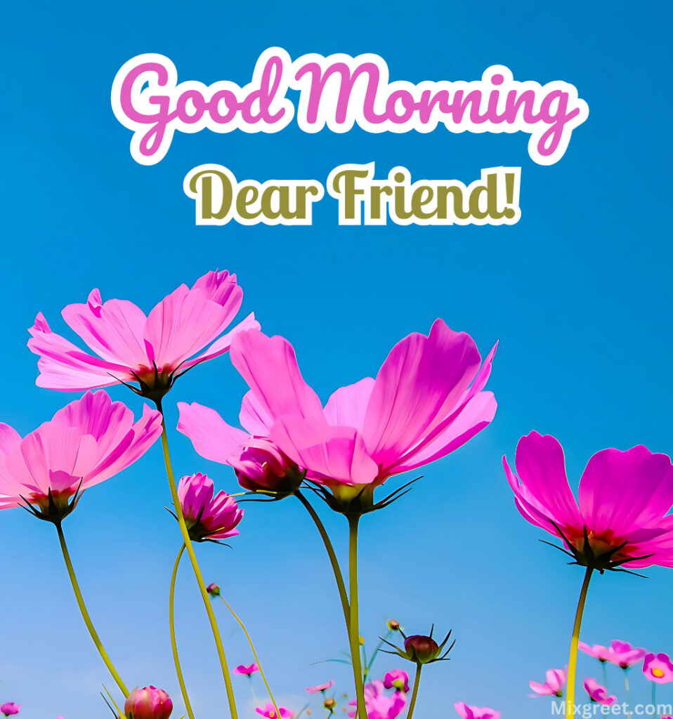 good morning friend wishes