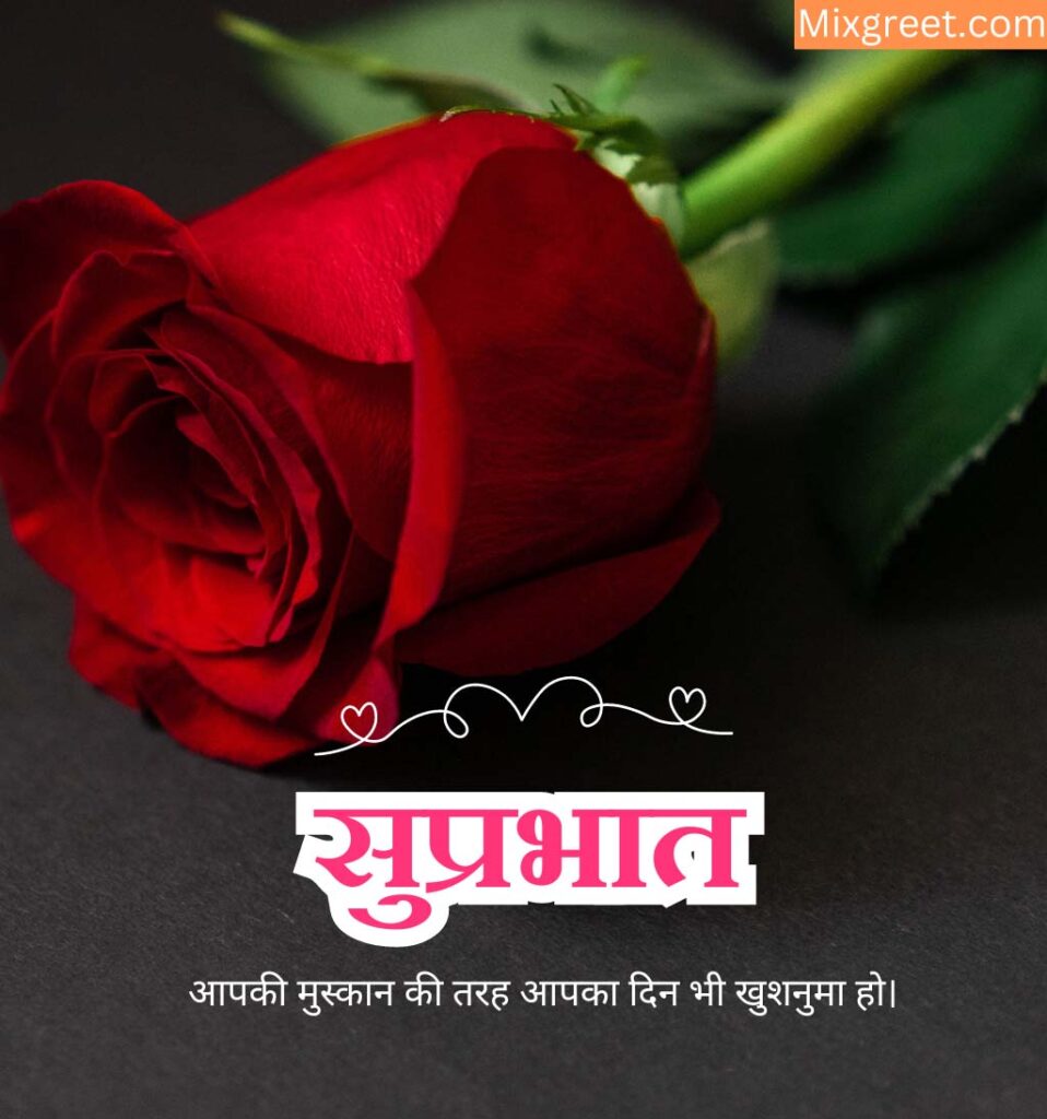 Hindi Suprabhat Wishes Images with rose