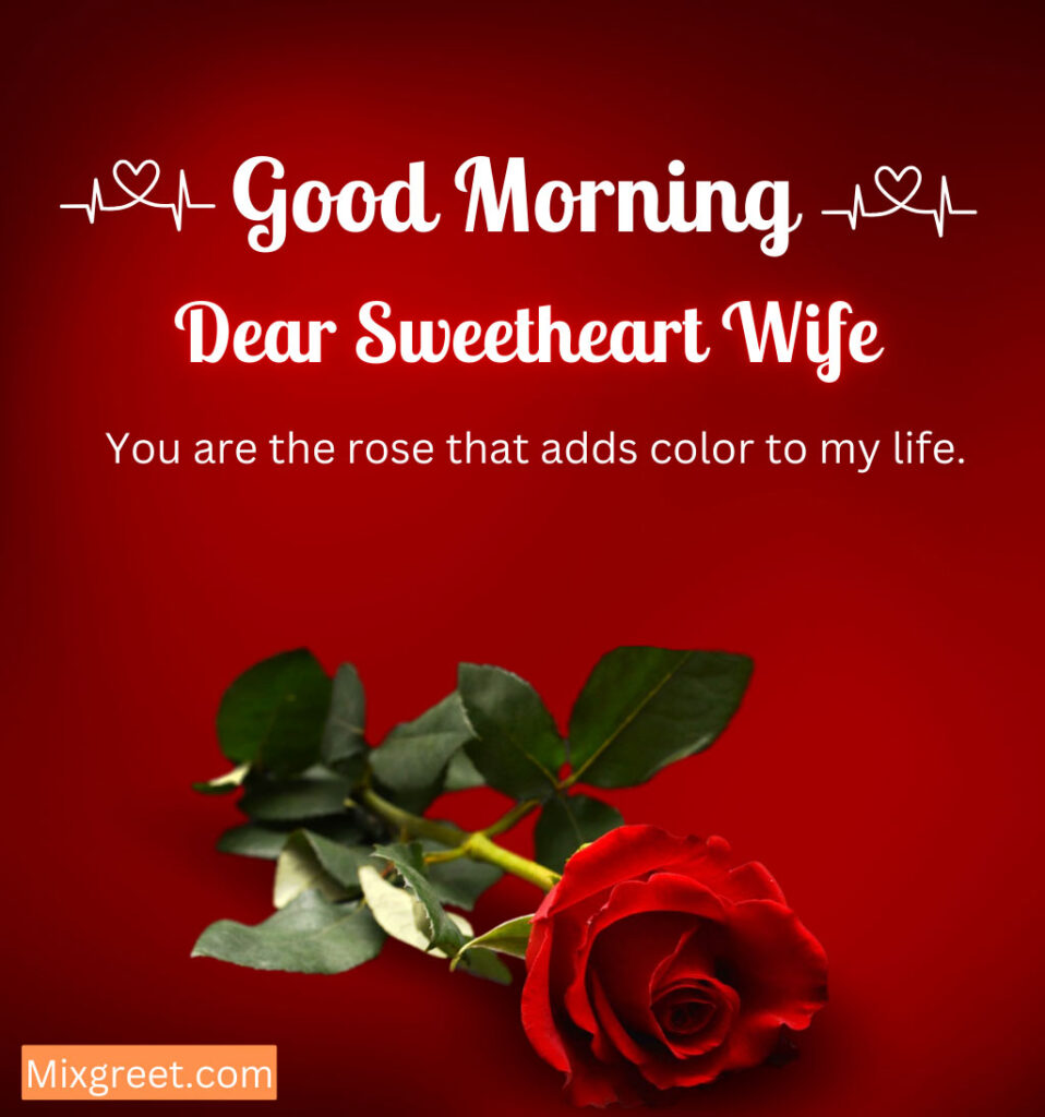 Love Good Morning wishes for Wife with Rose Flwoer