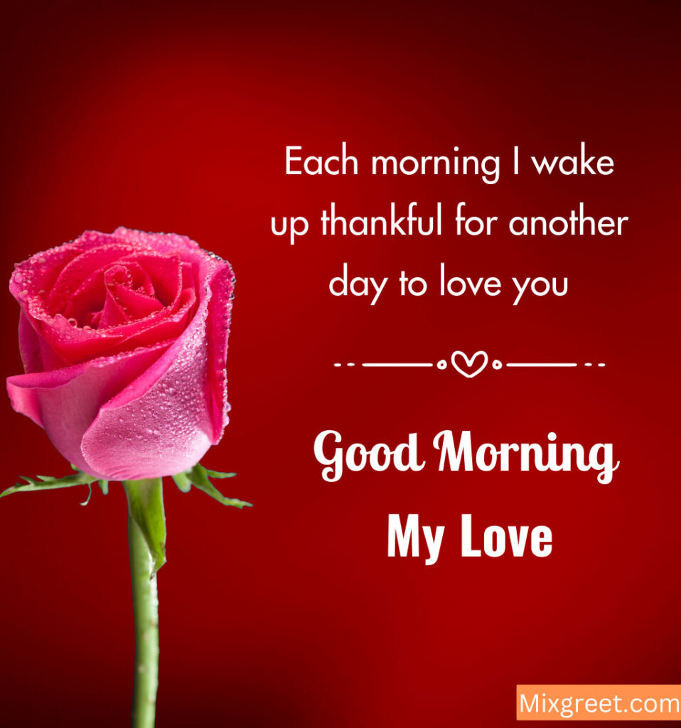 Good Morning Wishes With Rose Flower for Girlfriend