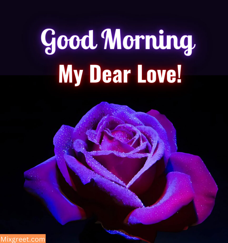 Good Morning My Love with Purple Rose