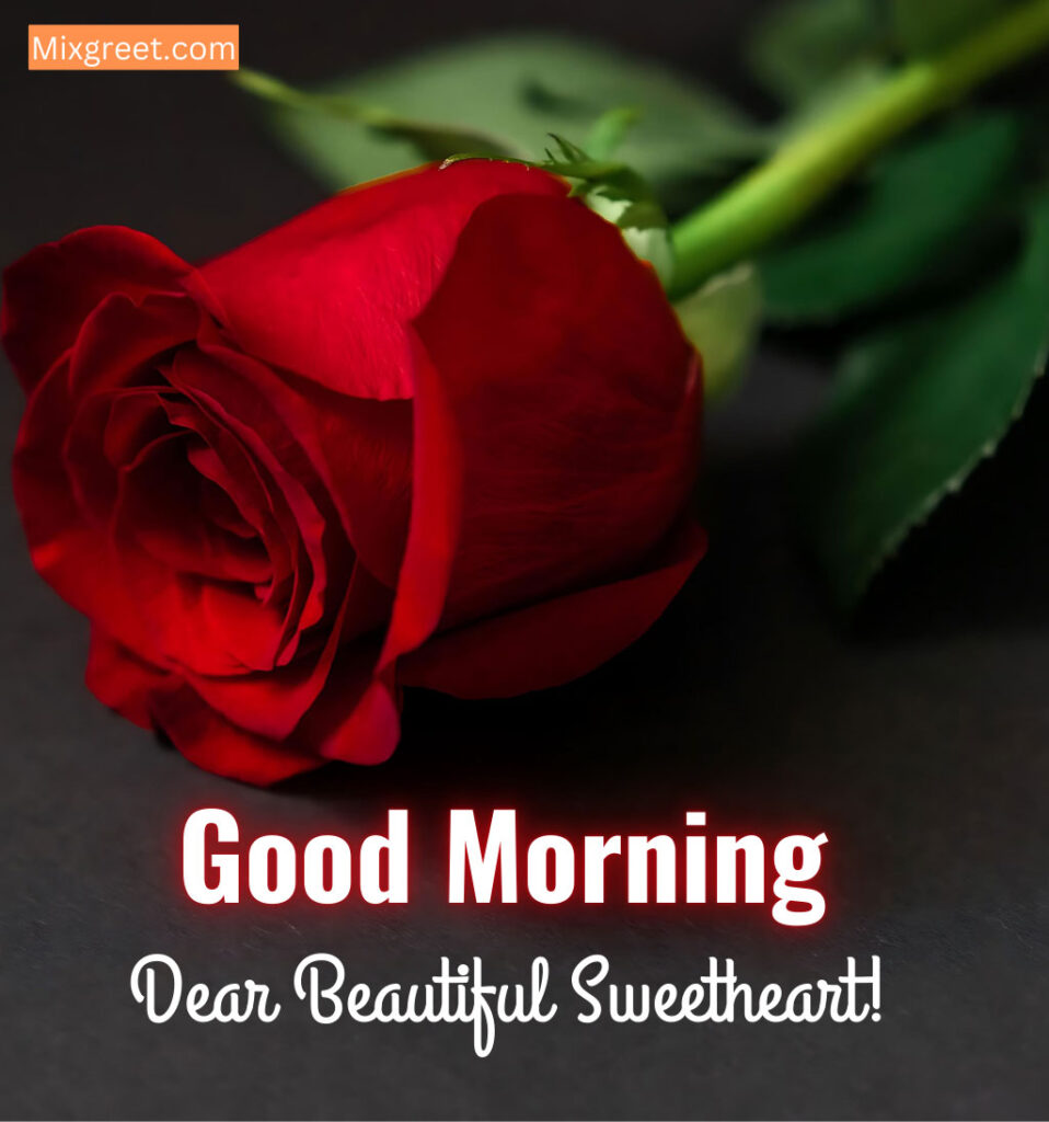 Good Morning Images with Rose for Sweetheart