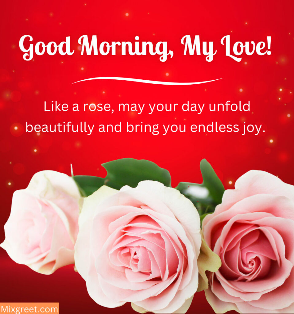 Pink Roses With Good Morning for Lover