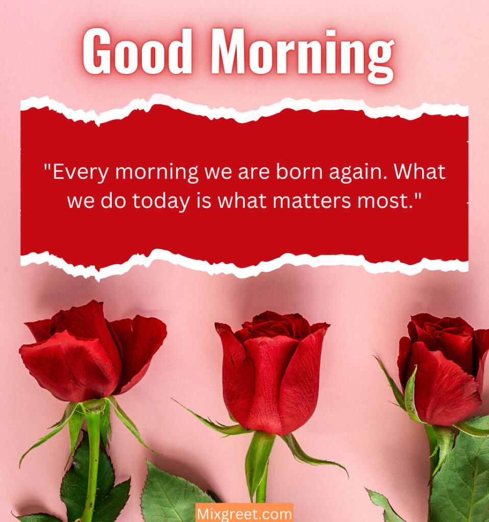 Roses With Good Morning Greetings