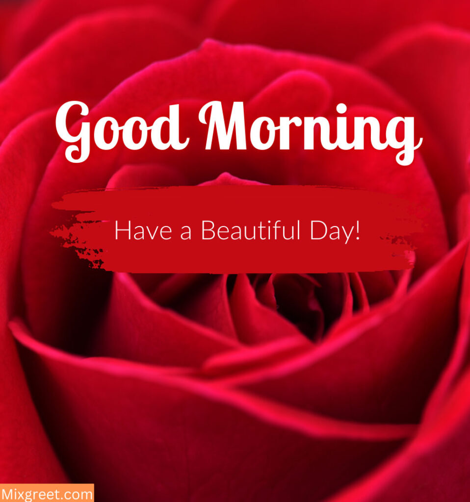 Good Morning Images with Roses