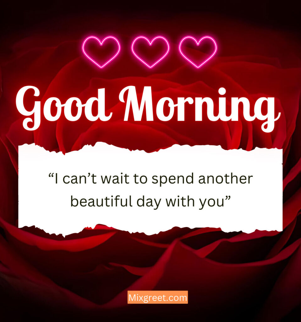 Good Morning Messages for Lover With Rose Flower