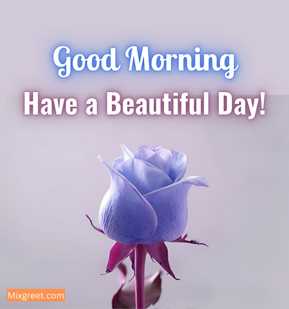 Good Morning Messages With Rose Flower