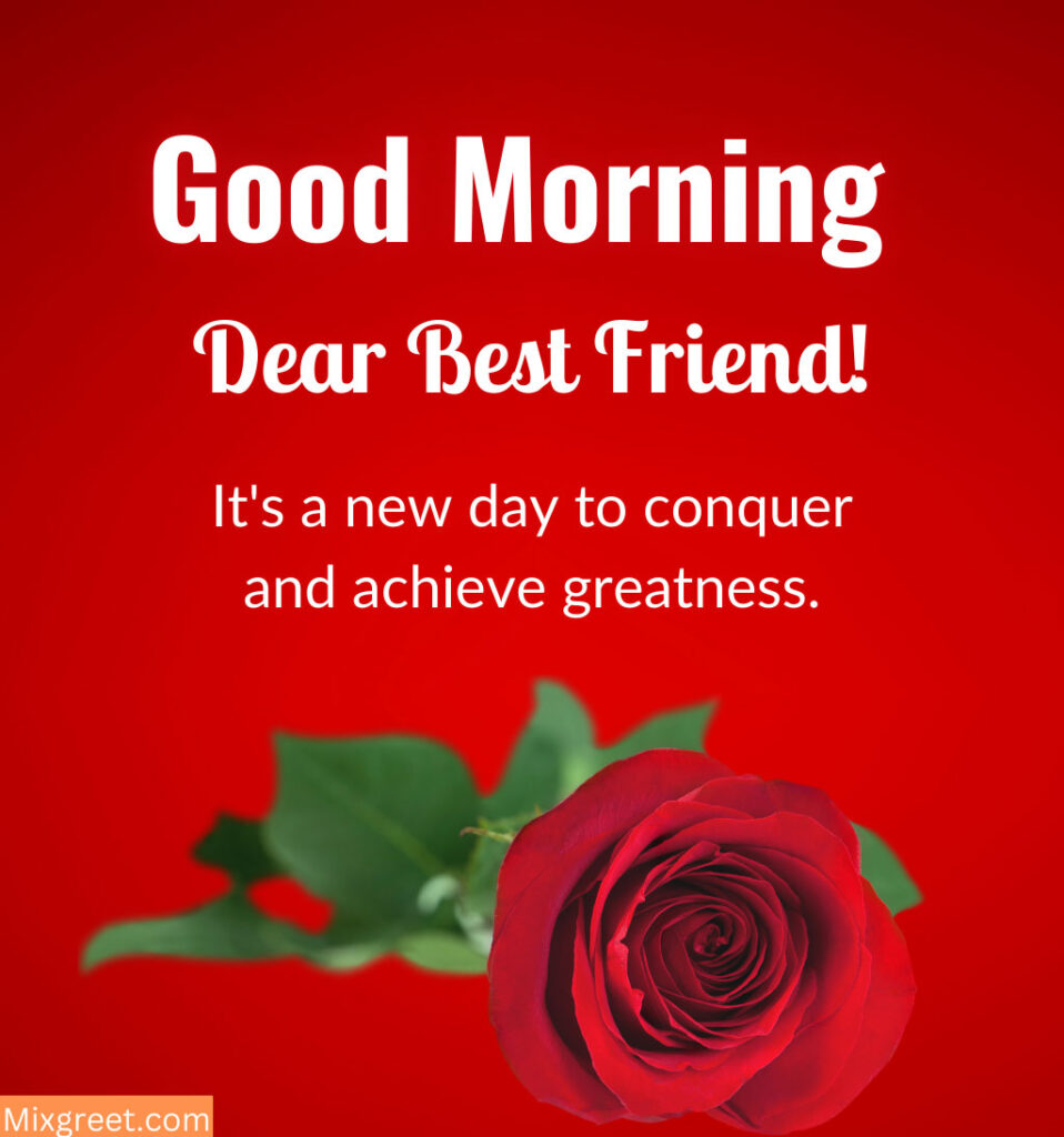 Red Roses With Good Morning for Best Friend