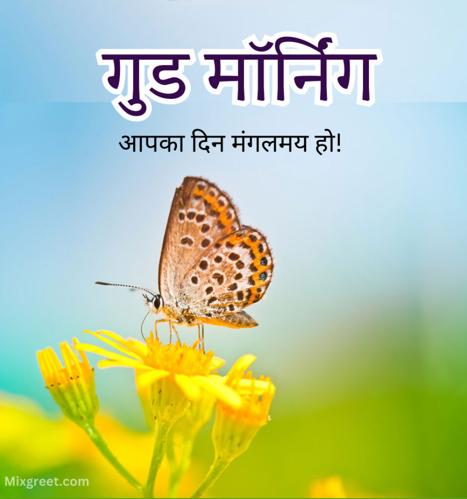 good morning hindi Images with butterfly