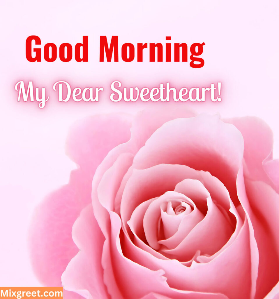 Good Morning Sweetheart Girlfriend with Rose