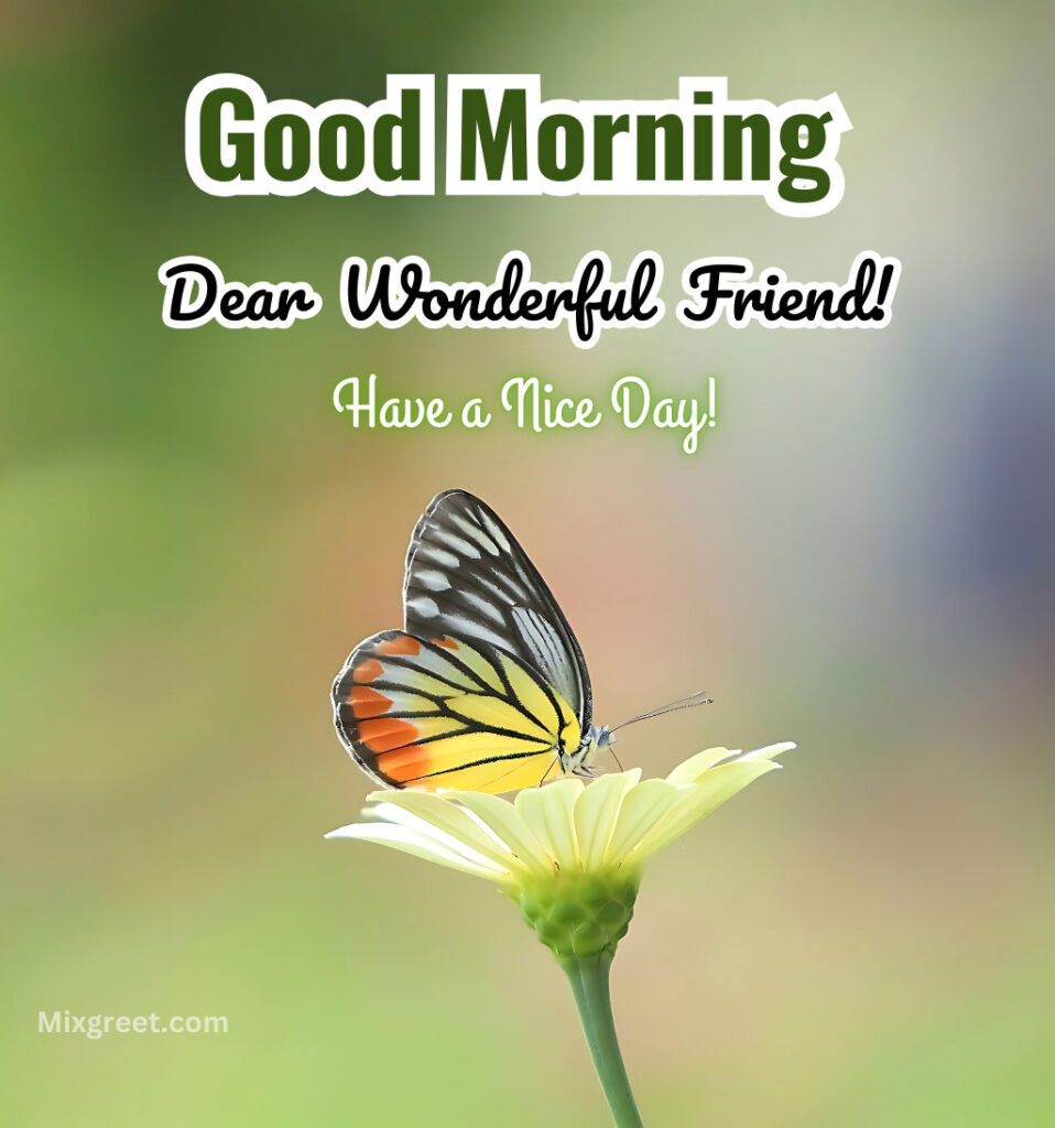 Good Morning Wishes for Friend With Butterfly