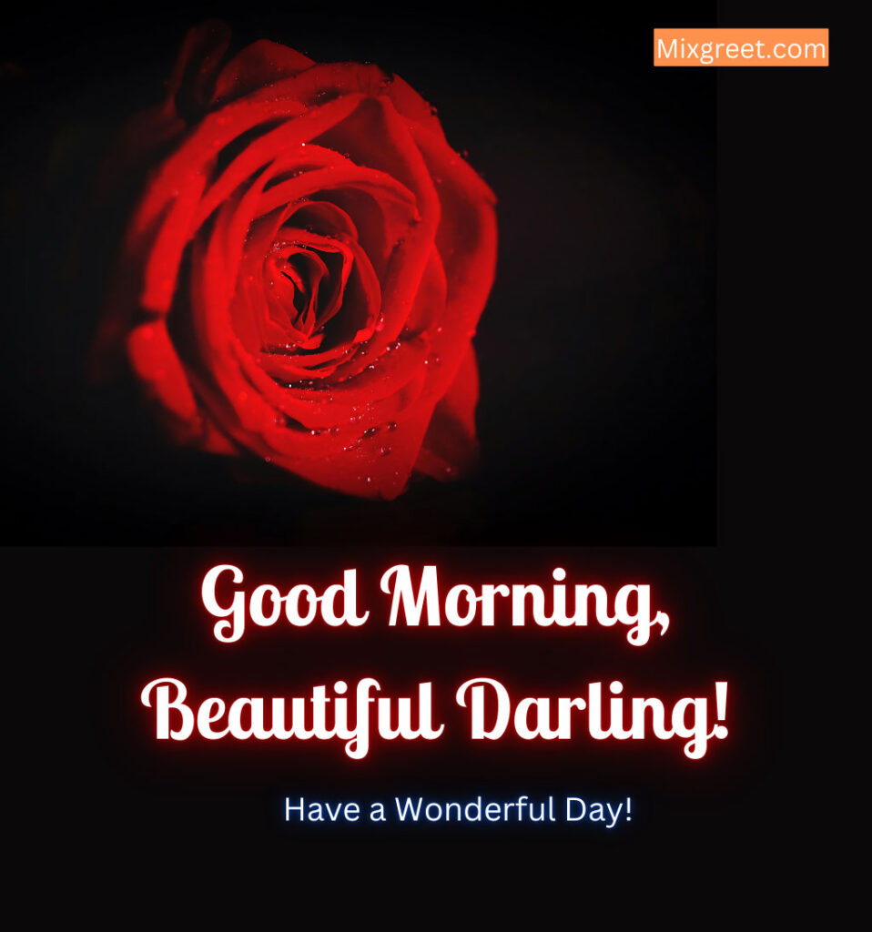 Good Morning Darling Wishes With Roses