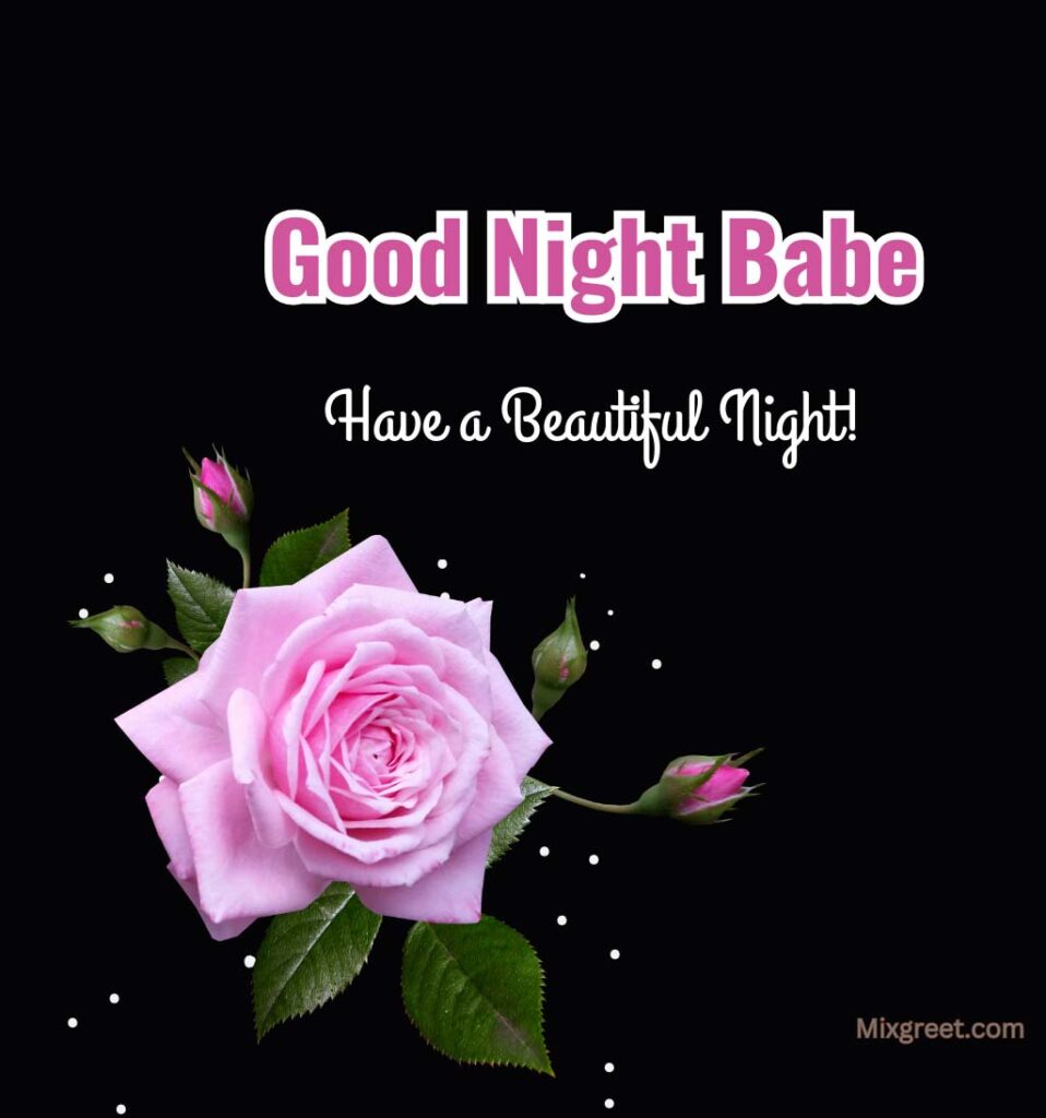 Good Night Pics for Lover with Pink Rose