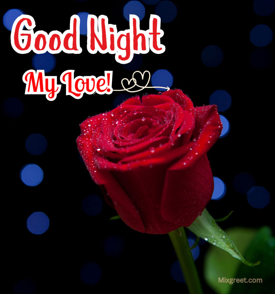 Good Night My Love with Rose Flower