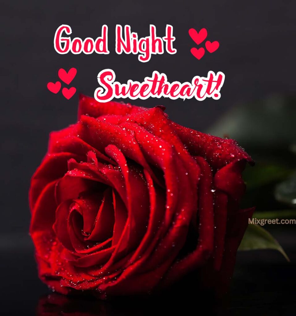 Love Good Night Sweetheart With Rose