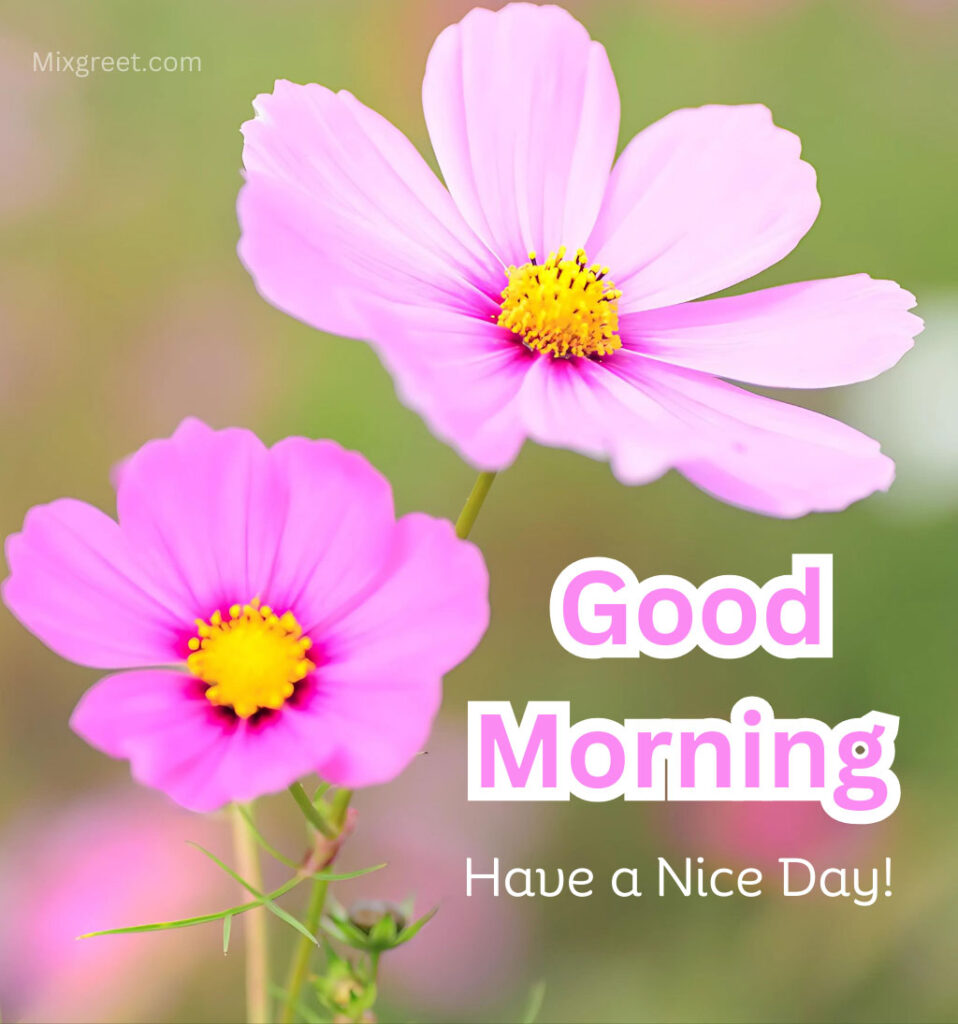 Good Morning Flower Images