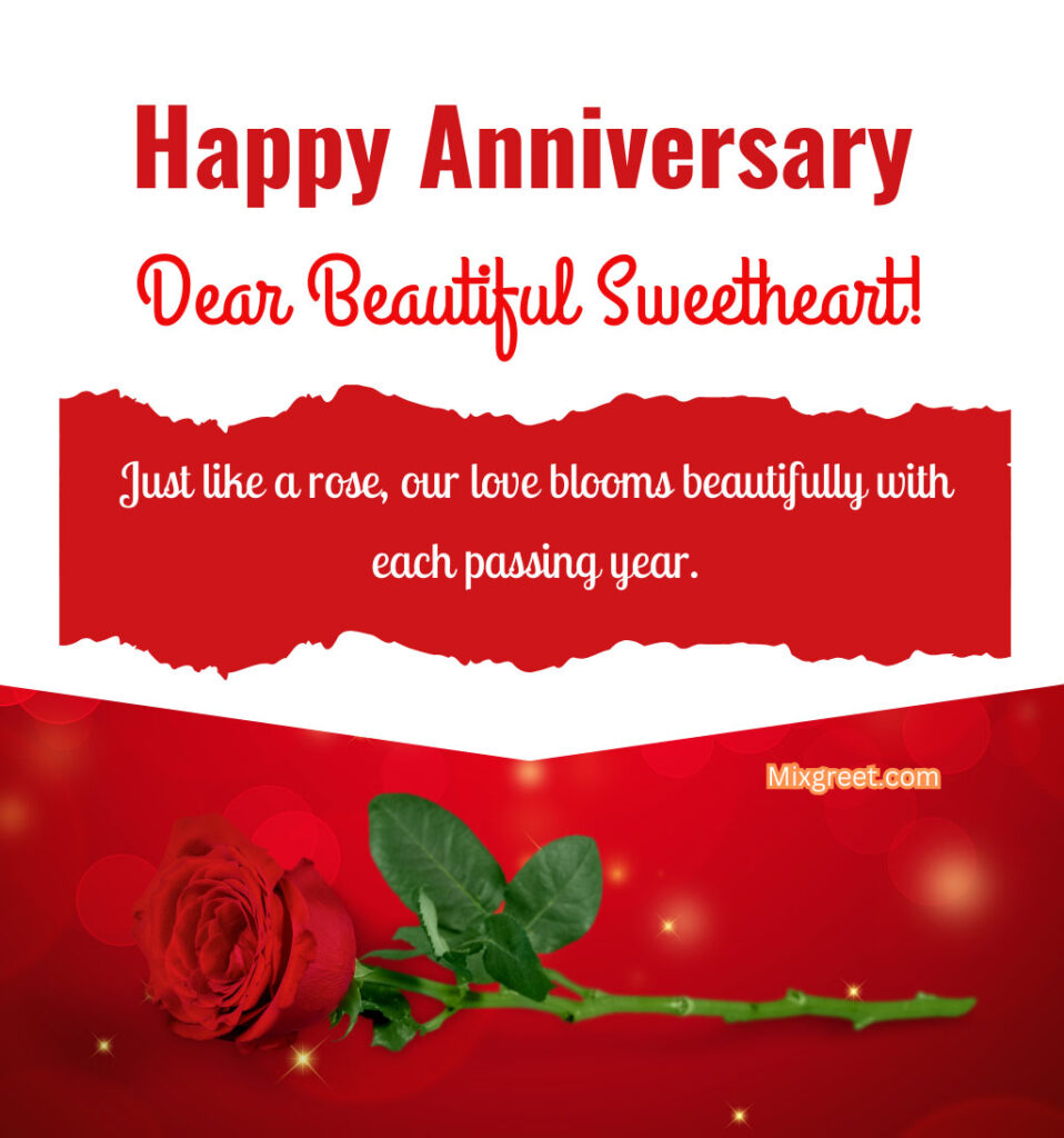 Happy Anniversary Wishes for Sweetheart Girlfriend With Rose