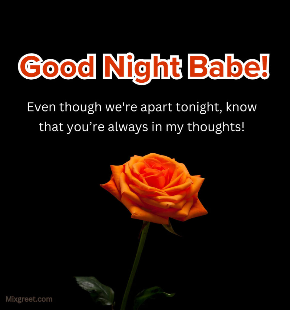 Romantic Good Night Wishes for Lover with Orange Rose