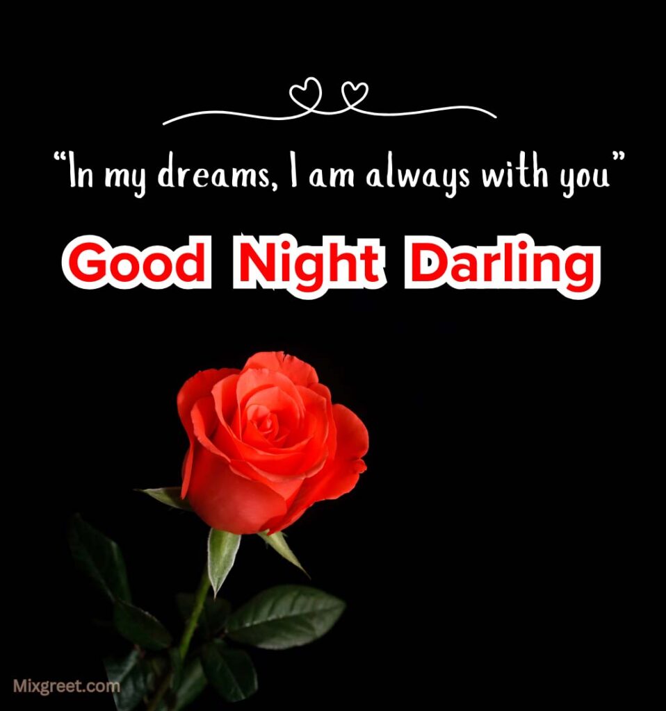 Good Night Darling with Rose