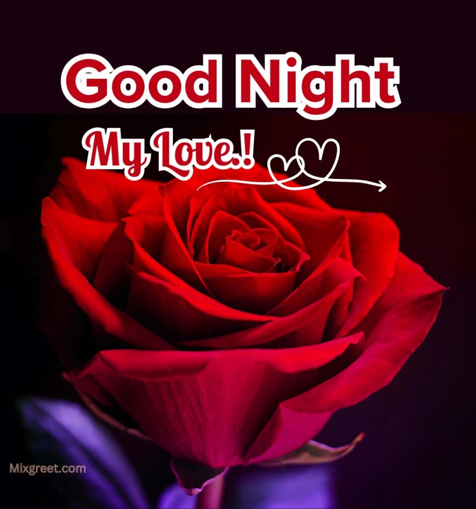 Good Night Love With Red Rose