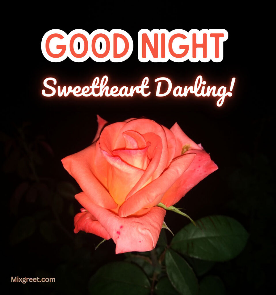 Good Night Sweetheart Darling for Lover