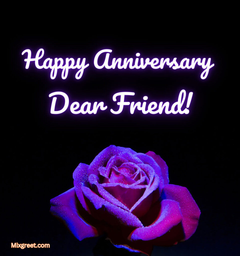 Happy Marriage Anniversary Friend with Rose