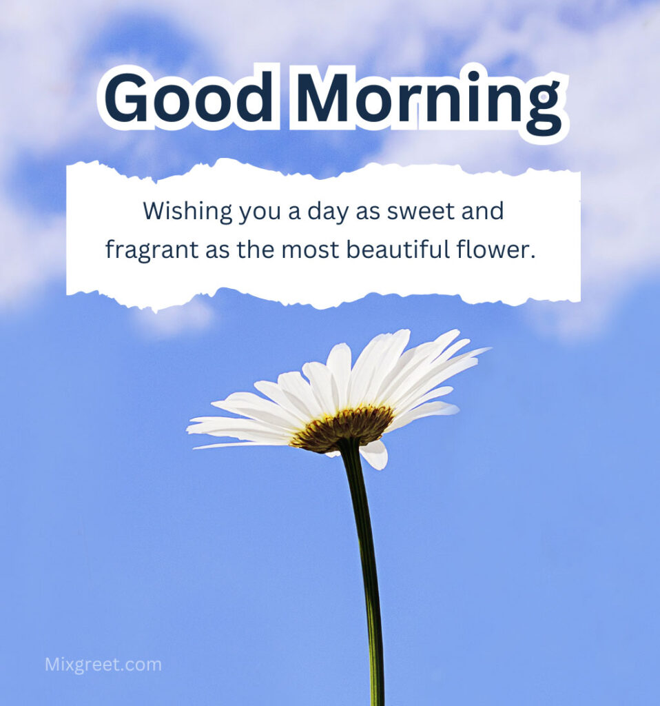 Good Morning Flowers