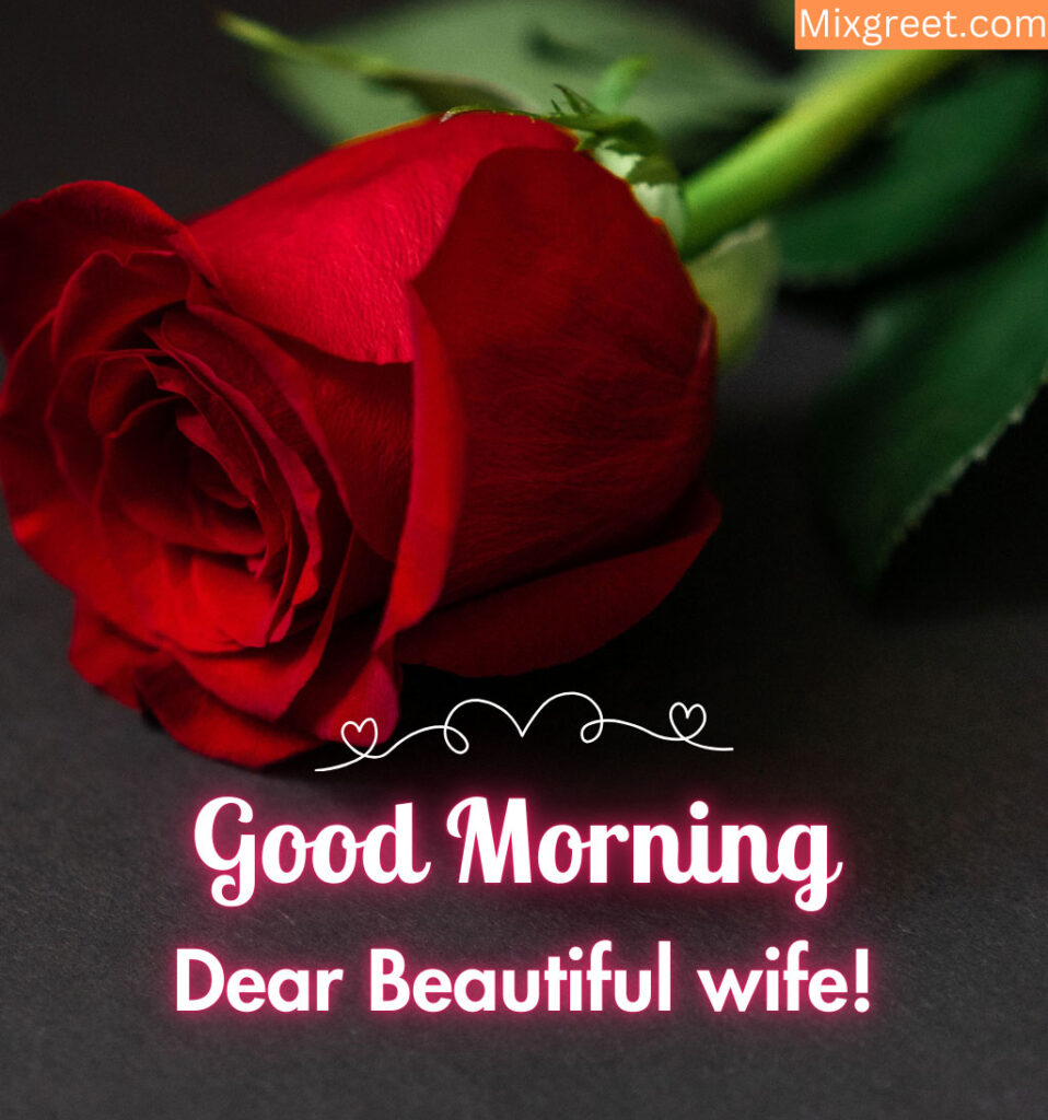 Good Morning Love Images for Beloved Wife With Beautiful Rose