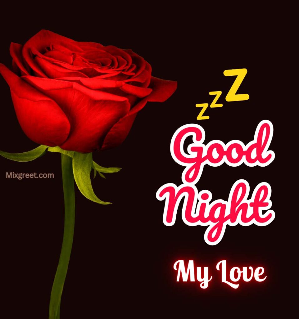 Good Night My Love Pics With Rose