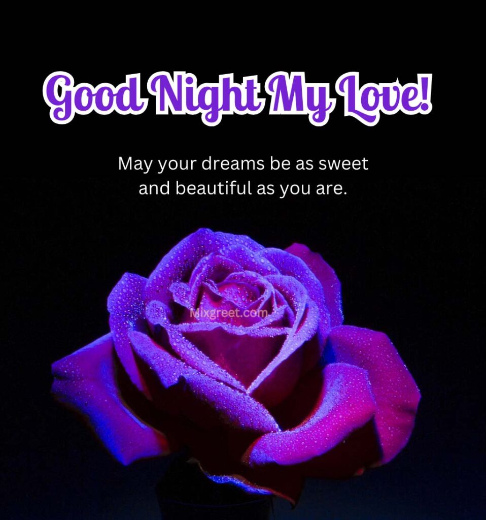 Good Night My Love Photo With Rose