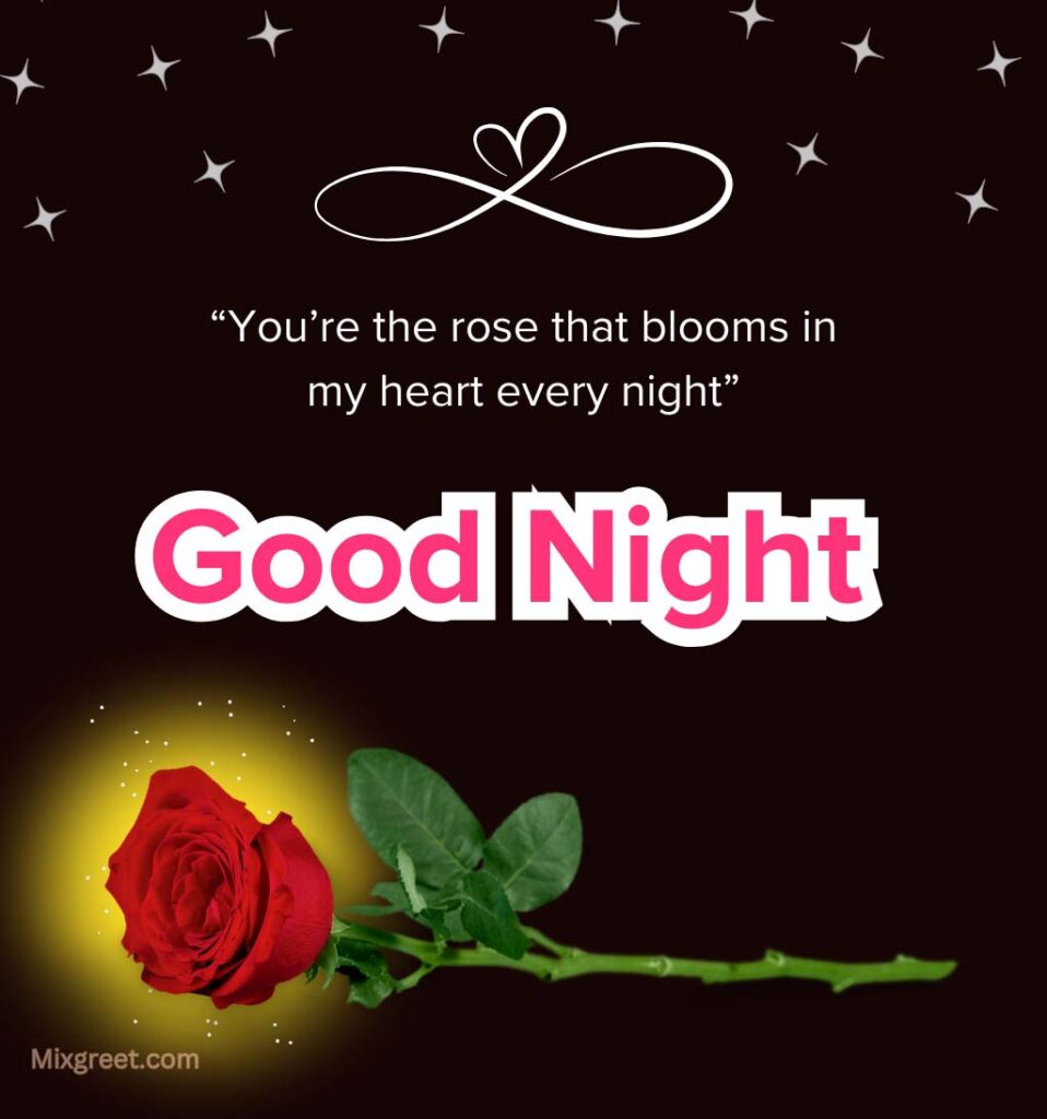 Good Night Love Images with Rose and Romance Quotes