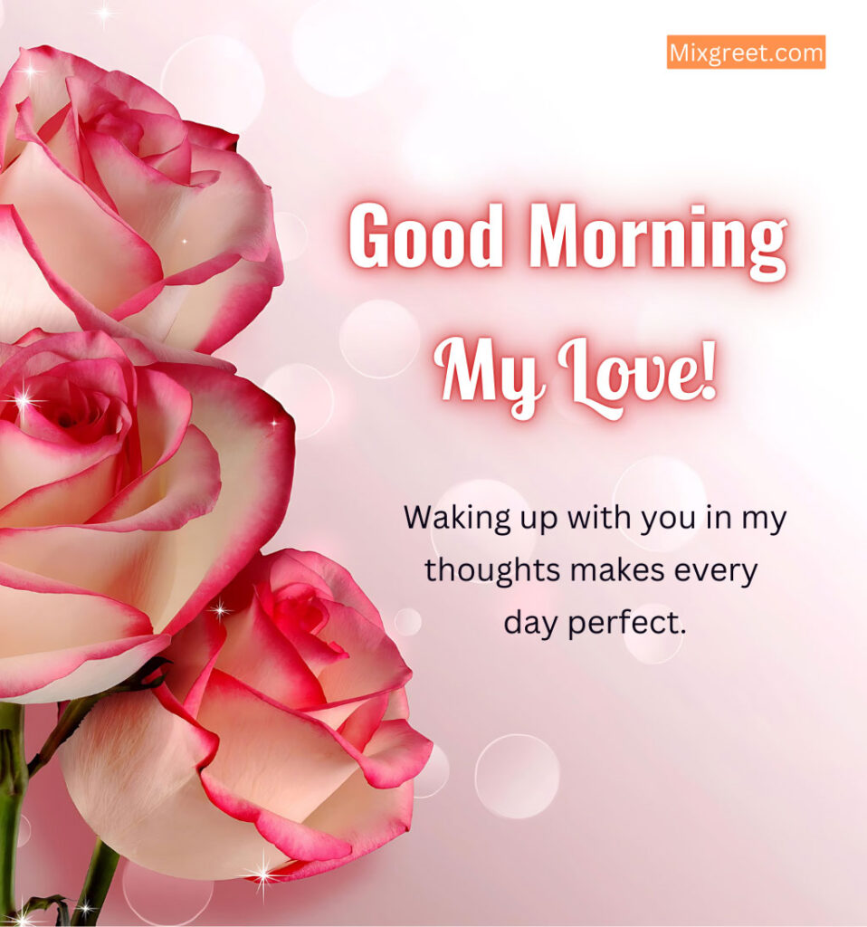 Roses With Good Morning Messages for Lover